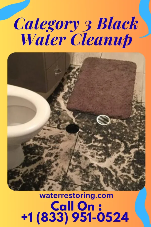 Category 3 Black Water Cleanup in South Haven, IN