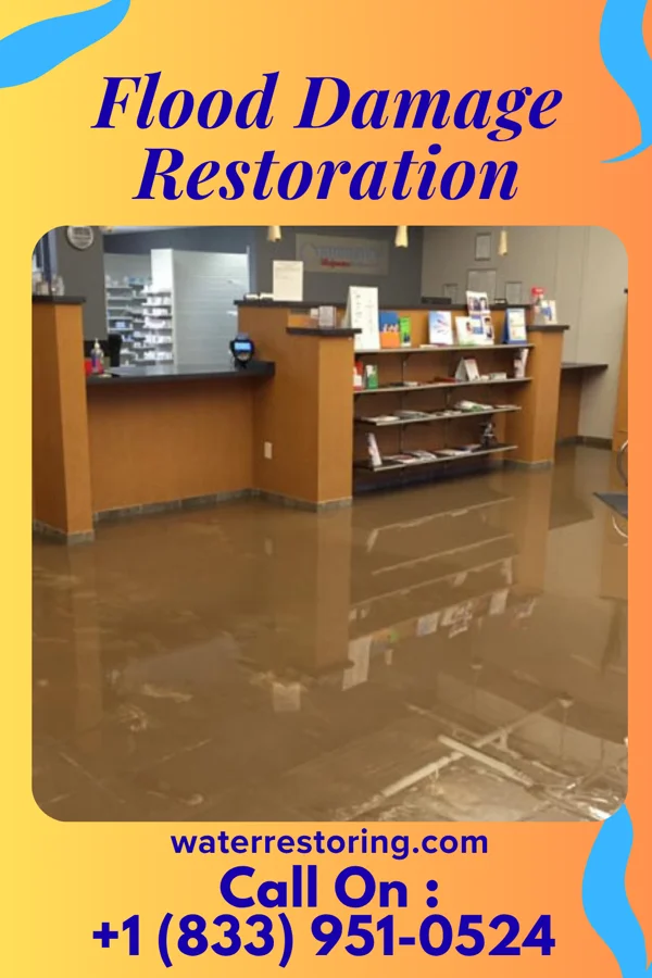Flood Damage Restoration in South Haven, IN