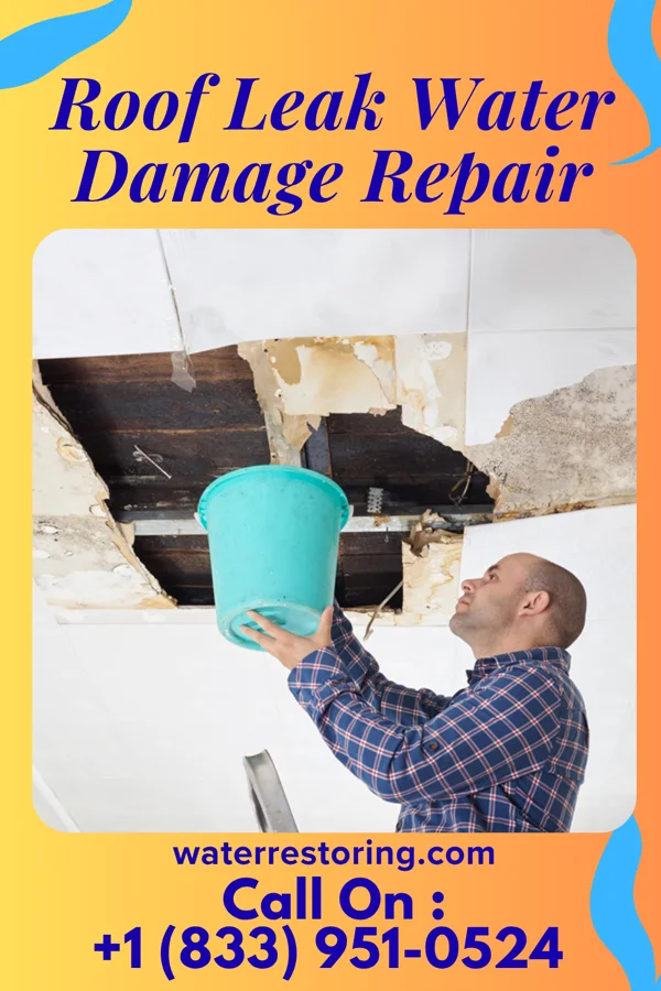 Roof Leak Water Damage Repair in South Haven, IN